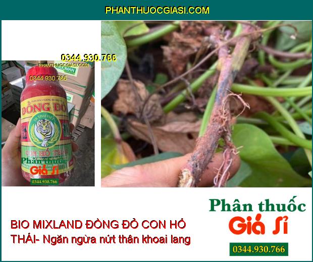 BIO MIXLAND ĐỒNG ĐỎ CON HỔ THÁI