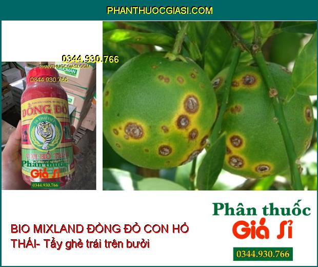 BIO MIXLAND ĐỒNG ĐỎ CON HỔ THÁI