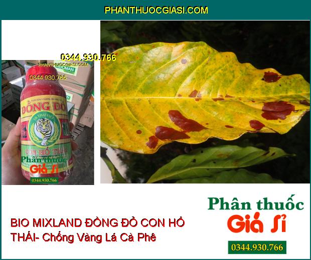 BIO MIXLAND ĐỒNG ĐỎ CON HỔ THÁI