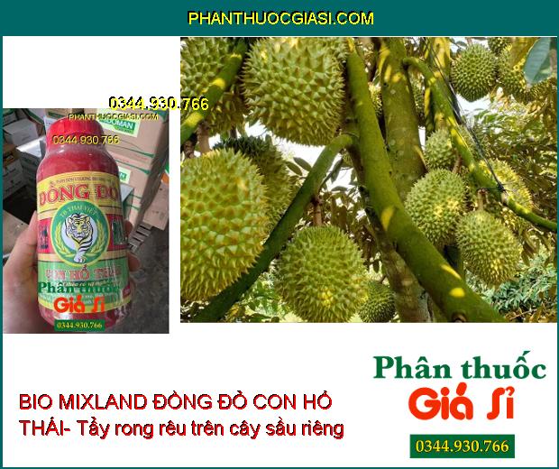 BIO MIXLAND ĐỒNG ĐỎ CON HỔ THÁI