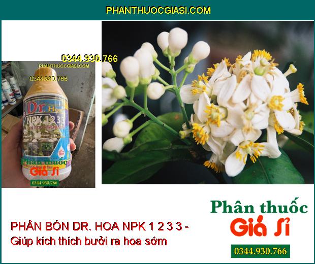 PHÂN BÓN DR. HOA NPK 1 2 3 3