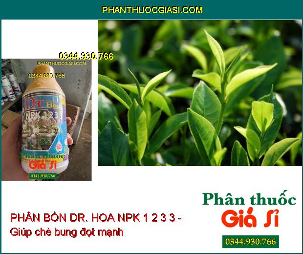 PHÂN BÓN DR. HOA NPK 1 2 3 3