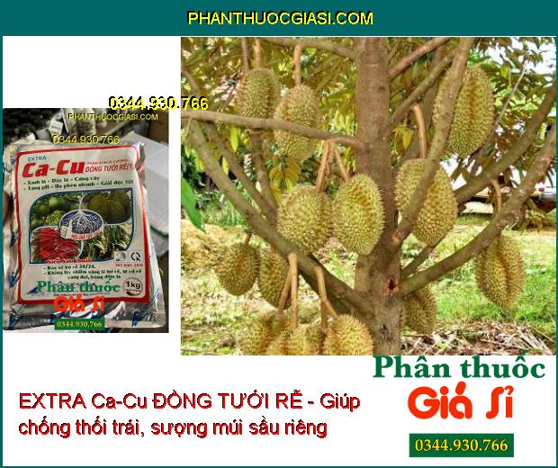 EXTRA Ca-Cu ĐỒNG TƯỚI RỄ