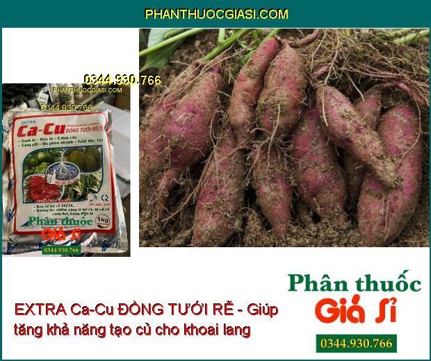 EXTRA Ca-Cu ĐỒNG TƯỚI RỄ