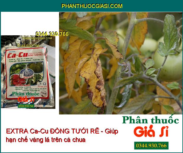 EXTRA Ca-Cu ĐỒNG TƯỚI RỄ