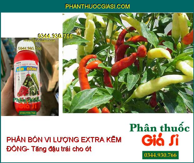 PHÂN BÓN VI LƯỢNG EXTRA KẼM ĐỒNG