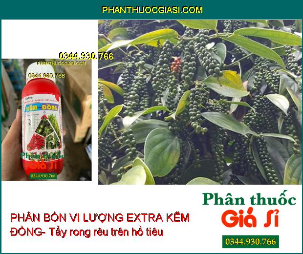 PHÂN BÓN VI LƯỢNG EXTRA KẼM ĐỒNG