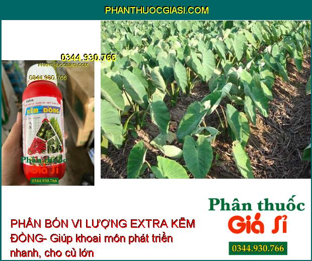 PHÂN BÓN VI LƯỢNG EXTRA KẼM ĐỒNG