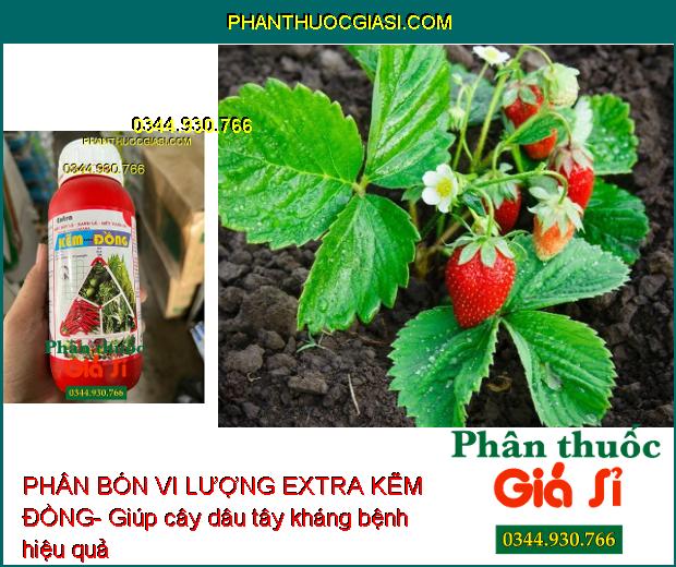 PHÂN BÓN VI LƯỢNG EXTRA KẼM ĐỒNG