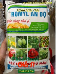 HOANGANGBUL 72WP ROMYL ẤN ĐỘ