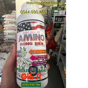 AMINO RONG BIỂN- Kéo Đọt- Đâm Cành- Xanh Lá