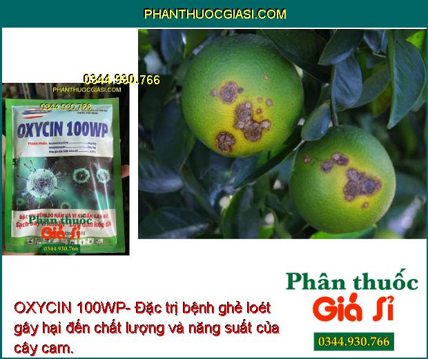 OXYCIN 100WP- Đặc Trị Bệnh Do Nấm và Vi Khuẩn gây hại