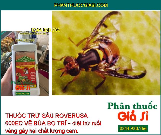 THUỐC TRỪ SÂU ROVERUSA 600EC VẼ BÙA BỌ TRĨ – Đặc Trị Sâu Vẽ Bùa- Bọ Trĩ Gây Hại