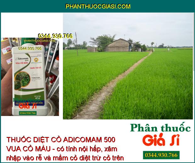 THUỐC DIỆT CỎ ADICOMAM 500 VUA CỎ MÀU