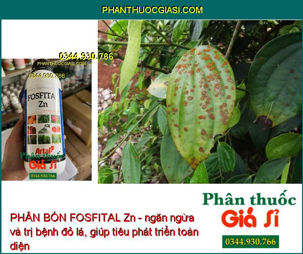 PHÂN BÓN FOSFITAL Zn - Bộ Rễ Khỏe- Lá Xanh- Ra Hoa Đậu Trái- Ngăn Ngừa Bệnh