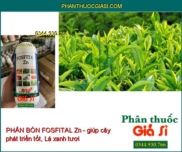 PHÂN BÓN FOSFITAL Zn - Bộ Rễ Khỏe- Lá Xanh- Ra Hoa Đậu Trái- Ngăn Ngừa Bệnh