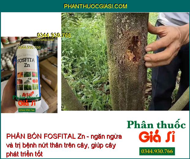 PHÂN BÓN FOSFITAL Zn - Bộ Rễ Khỏe- Lá Xanh- Ra Hoa Đậu Trái- Ngăn Ngừa Bệnh