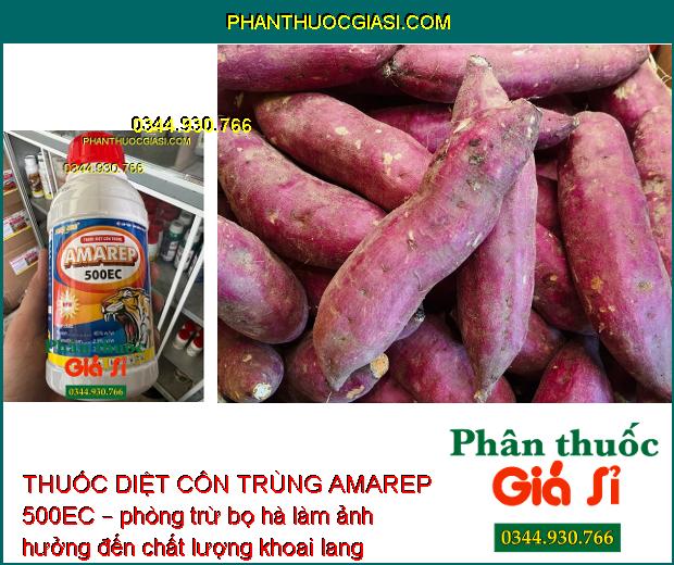 THUỐC DIỆT CÔN TRÙNG AMAREP 500EC – Đặc Trị Các Loại Sâu và Côn Trùng