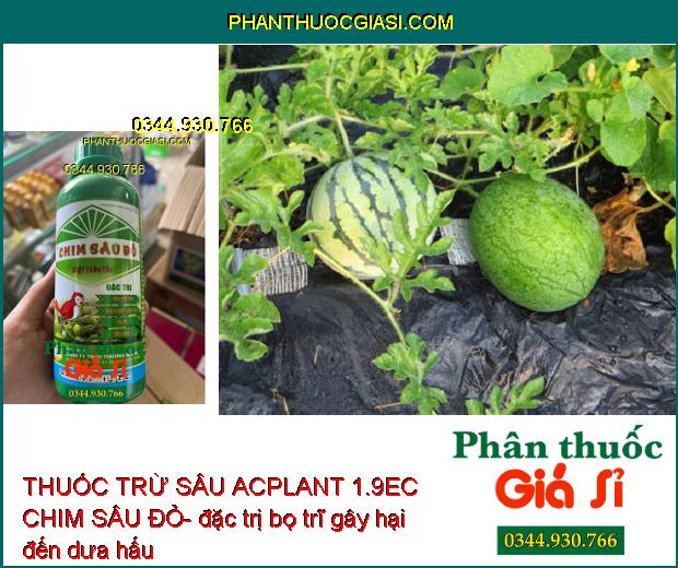 THUỐC TRỪ SÂU ACPLANT 1.9EC CHIM SÂU ĐỎ- Diệt Thần Tốc Các Loại Sâu