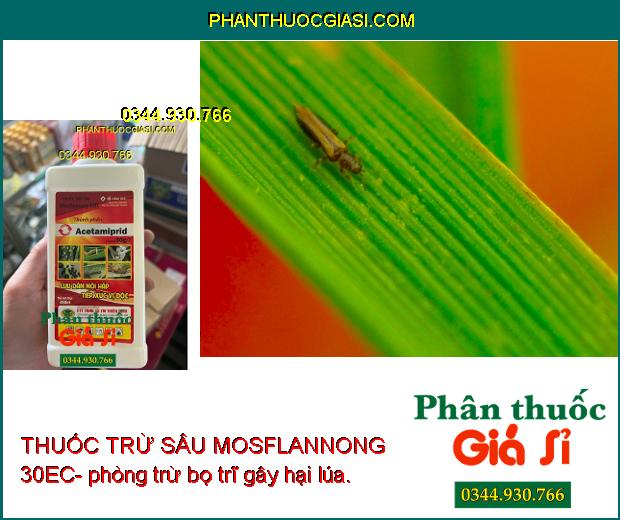 THUỐC TRỪ SÂU MOSFLANNONG 30EC – Đặc Trị Bọ Trĩ- Sâu Cuốn Lá- Rầy Nâu