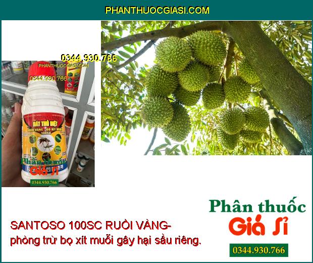 SANTOSO 100SC RUỒI VÀNG-  Diệt Trừ Nhiều Loại Côn Trùng Gây Hại