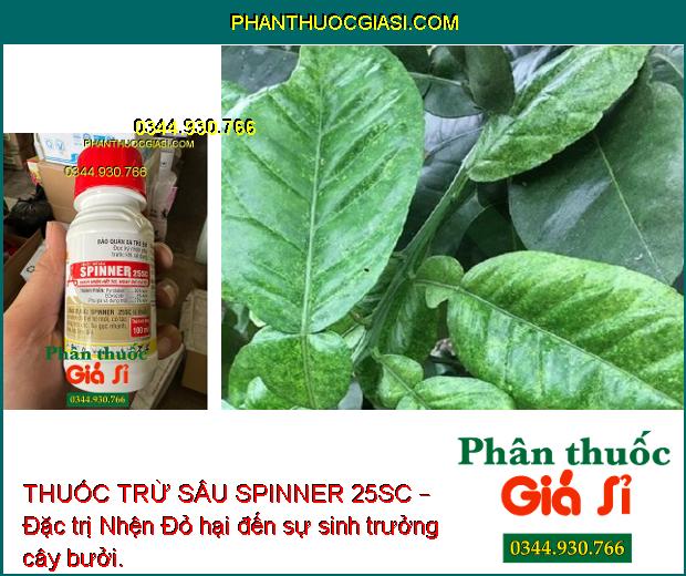 THUỐC TRỪ SÂU SPINNER 25SC – Đặc Trị Nhện Đỏ Hại Khoai Mì- Hồ Tiêu