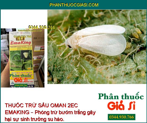 THUỐC TRỪ SÂU OMAN 2EC EMAKING – Đặc Trị Nhiều Loại Sâu Chích Hút Và Sâu Ăn Lá