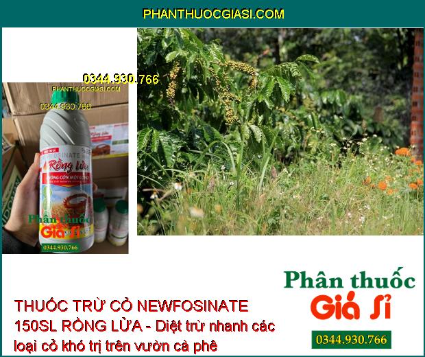 THUỐC TRỪ CỎ NEWFOSINATE 150SL RỒNG LỬA 