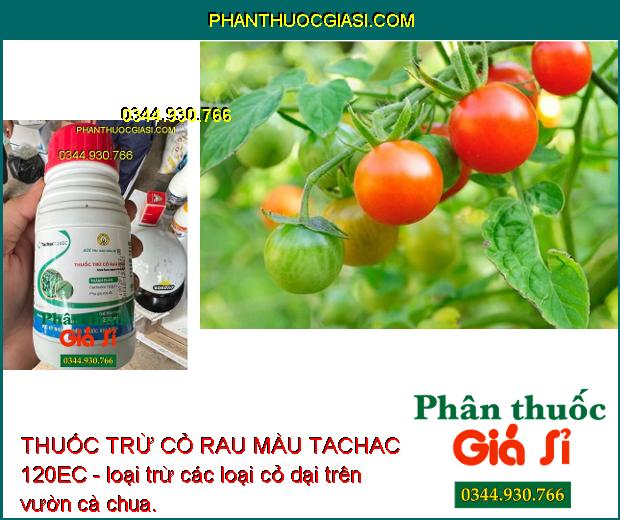 THUỐC TRỪ CỎ RAU MÀU TACHAC 120EC - Đặc Trị Hậu Nảy Mầm- Cỏ Lá Hẹp 