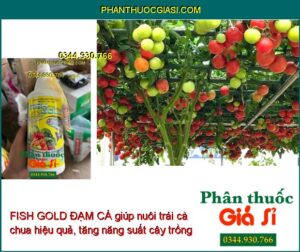 FISH GOLD ĐẠM CÁ – Kích Ra Rễ- Ra Bông- Nuôi Trái- Phục Hồi Cây 