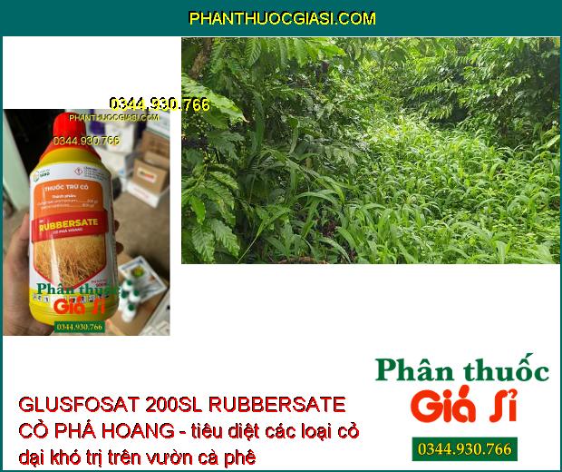 GLUSFOSAT 200SL RUBBERSATE CỎ PHÁ HOANG