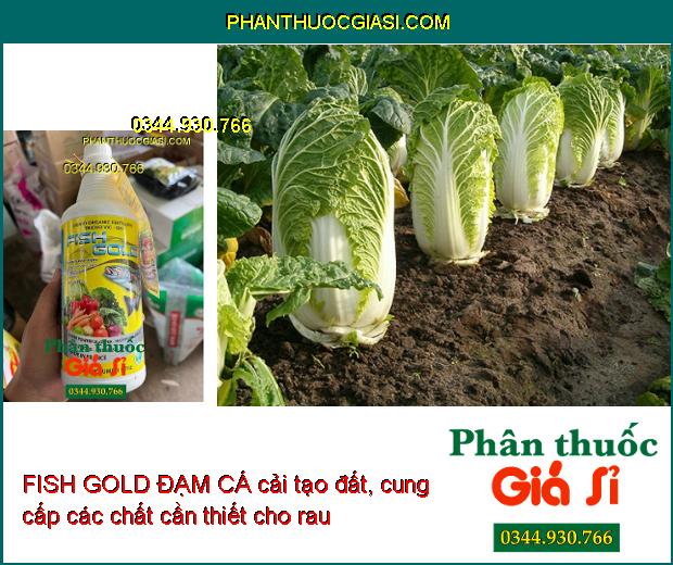 Sử dụng FISH GOLD ĐẠM CÁ giúp cả tạo đất, tạo mùn, cung cấp các chất cần thiết cho rau.