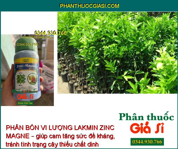 PHÂN BÓN VI LƯỢNG LAKMIN ZINC MAGNE – Tăng Khả Năng Quang Hợp Cho Bộ Lá