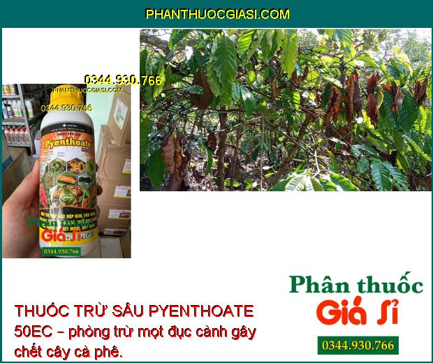 THUỐC TRỪ SÂU PYENTHOATE 50EC – Đặc Trị Sâu Đục Thân và Nhiều Loại Sâu Bệnh Khác