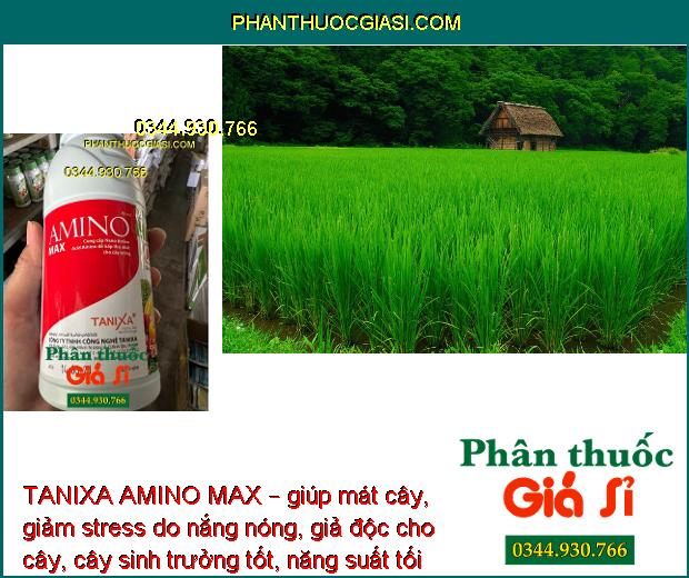 TANIXA AMINO MAX – Xanh Lá - Hoa Đẹp - Quả Sáng