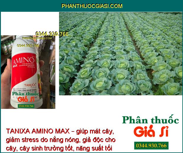 TANIXA AMINO MAX – Xanh Lá - Hoa Đẹp - Quả Sáng