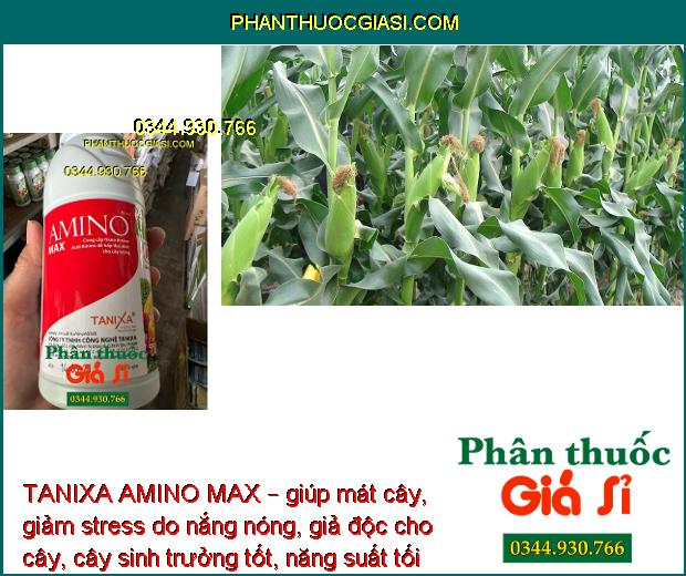 TANIXA AMINO MAX – Xanh Lá - Hoa Đẹp - Quả Sáng