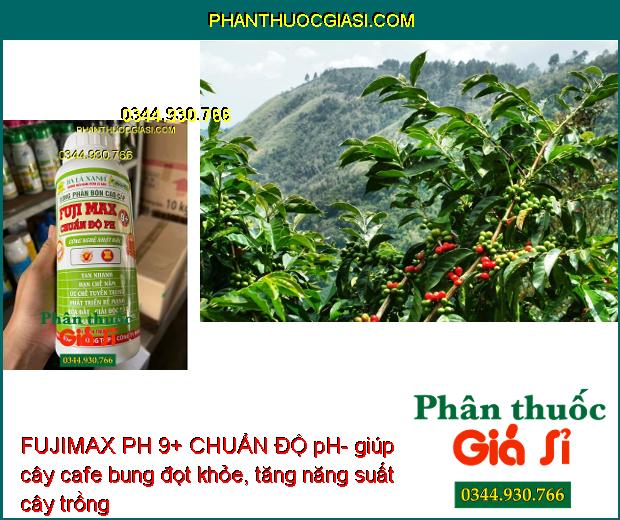 FUJIMAX PH 9+ CHUẨN ĐỘ pH