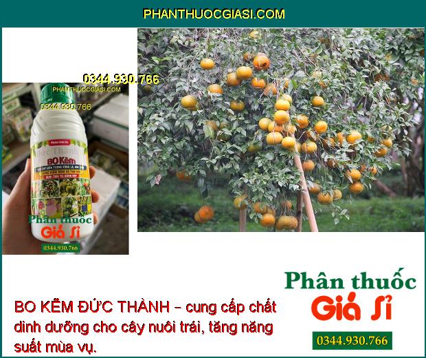 BO KẼM ĐỨC THÀNH – Chống Rụng Hoa - Thụ Phấn Đều - Nuôi Trái To 