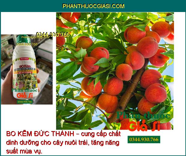 BO KẼM ĐỨC THÀNH – Chống Rụng Hoa - Thụ Phấn Đều - Nuôi Trái To 