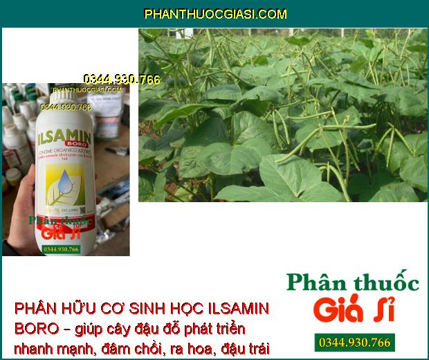 PHÂN HỮU CƠ SINH HỌC ILSAMIN BORO – Tăng Chất Lượng Quả Đậu- Giảm Mắc Sâu Bệnh