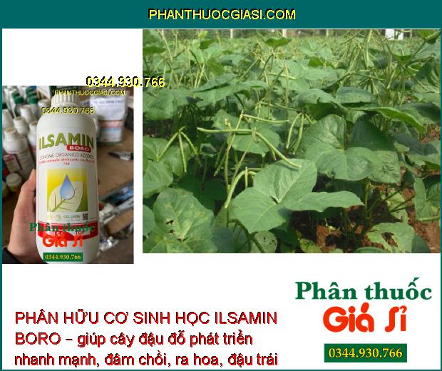 PHÂN HỮU CƠ SINH HỌC ILSAMIN BORO – Tăng Chất Lượng Quả Đậu- Giảm Mắc Sâu Bệnh