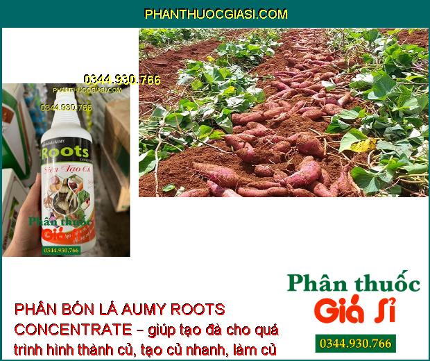 PHÂN BÓN LÁ AUMY ROOTS CONCENTRATE SIÊU TẠO CỦ – Ra Nhiều Mạnh- Củ To 