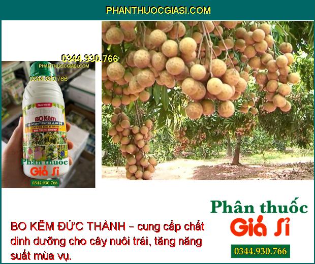 BO KẼM ĐỨC THÀNH – Chống Rụng Hoa - Thụ Phấn Đều - Nuôi Trái To 