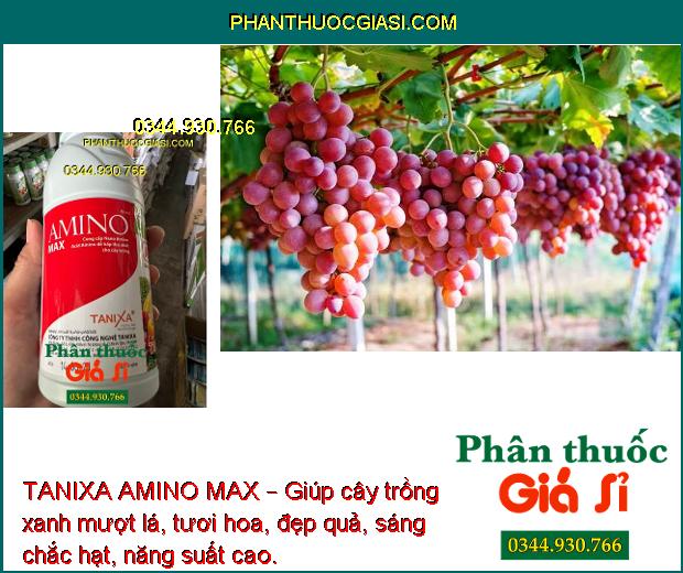 TANIXA AMINO MAX – Xanh Lá - Hoa Đẹp - Quả Sáng