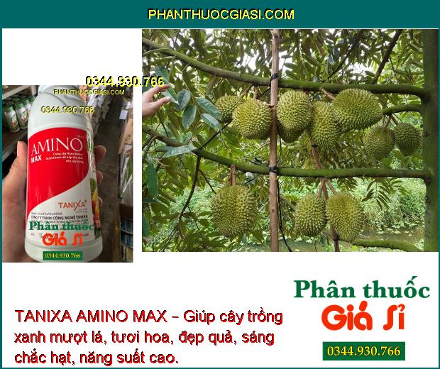 TANIXA AMINO MAX – Xanh Lá - Hoa Đẹp - Quả Sáng