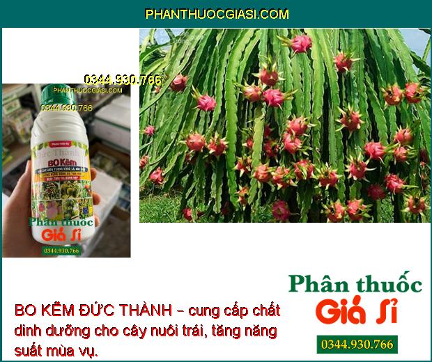 BO KẼM ĐỨC THÀNH – Chống Rụng Hoa - Thụ Phấn Đều - Nuôi Trái To 