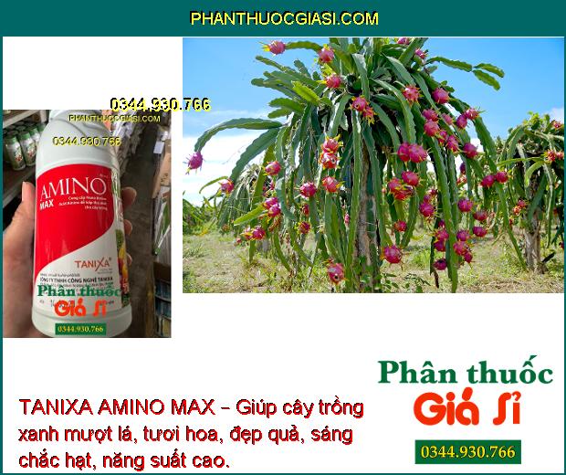 TANIXA AMINO MAX – Xanh Lá - Hoa Đẹp - Quả Sáng