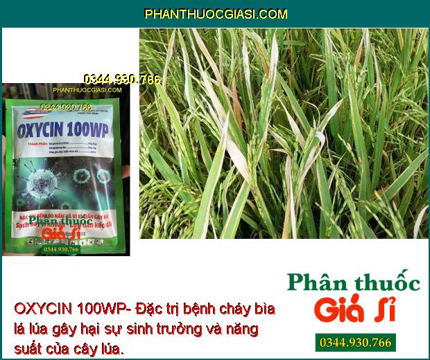 OXYCIN 100WP- Đặc Trị Bệnh Do Nấm và Vi Khuẩn gây hại