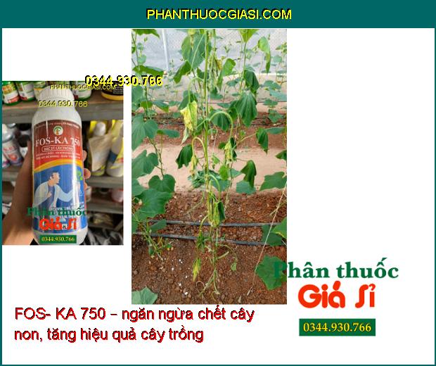 FOS- KA 750 – Đặc Trị Vàng Lá- Thối Rễ- Giúp Phát Triển Bộ Rễ